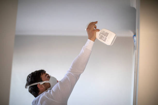Best Best Mold Removal Companies  in White Castle, LA